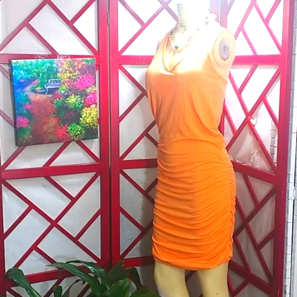 Sleeveless Summer Dress